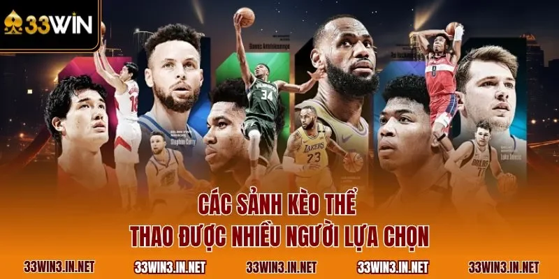 Các sảnh kèo thể thao được nhiều người lựa chọn