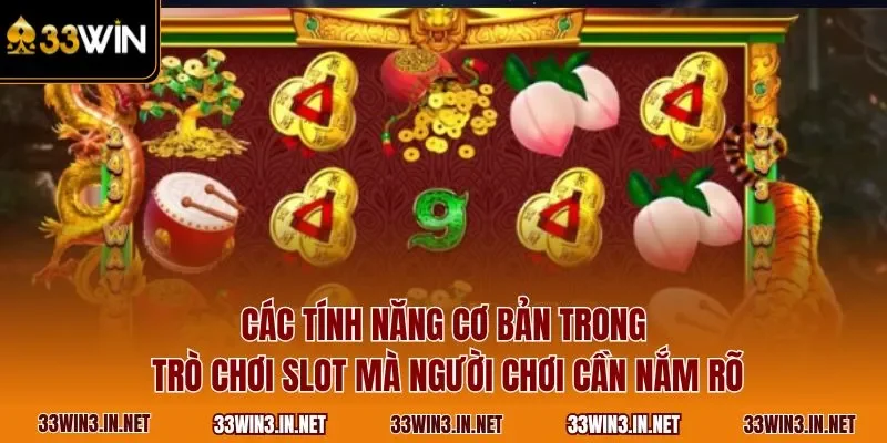 Các tính năng cơ bản trong trò chơi slot mà người chơi cần nắm rõ